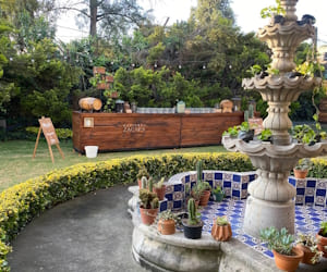 Salón
